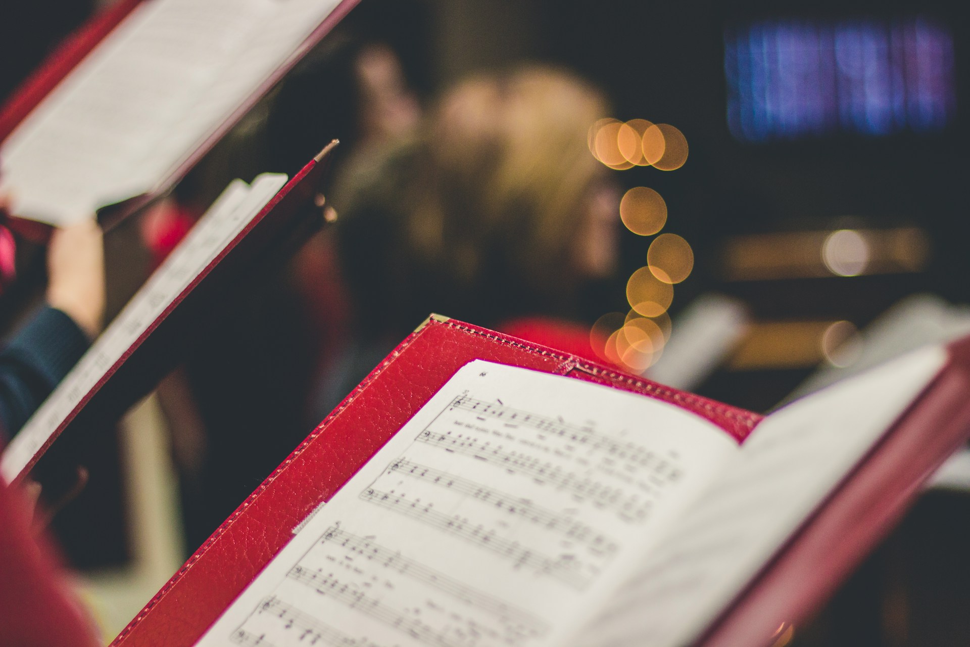 Photo David Beale / Unsplash